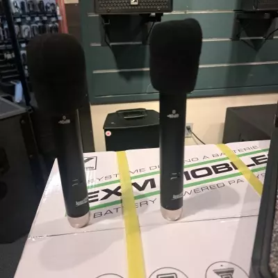 APEX185B Pencil Condensers 2